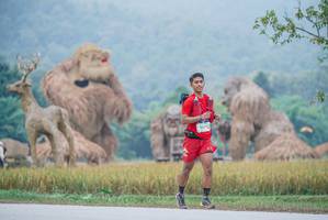 BIB: 
                            <button type="button" onclick="openModal(22304283)" class="btn btn-primary btn-sm float-right btn-popup" data-toggle="modal" data-target=".modal-high-quality">
                        <i class="fas fa-shopping-cart"></i> Add to Cart
                    </button>
                                            <button type="button" onclick="isThisMe(22304283, true)" class="btn btn-success btn-sm float-right btn-popup btn-isme hidden" data-toggle="tooltip" data-placement="bottom" title="นี่คือรูปของคุณใช่ไหม คลิกที่นี่เพื่อเอาเข้าอัลบั้ม">
                        <i class="fas fa-plus"></i> Add to album
                    </button>
                    <button type="button" onclick="isThisMe(22304283, false)" class="btn btn-warning btn-sm float-right btn-popup btn-isnotme hidden">
                        <i class="fas fa-ban"></i> Remove from album
                    </button>